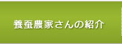 東京　多摩　養蚕農家さんの紹介